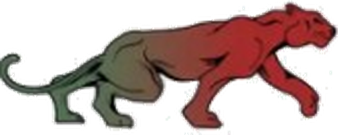 The B1 Village Panther logo